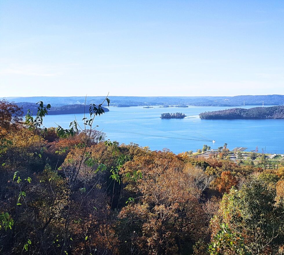 Guntersville Boat Rentals Guntersville, Alabama Rent Pontoons, Jet